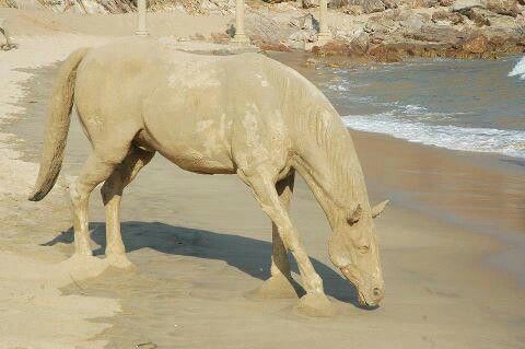 Horse Sand Sculpture